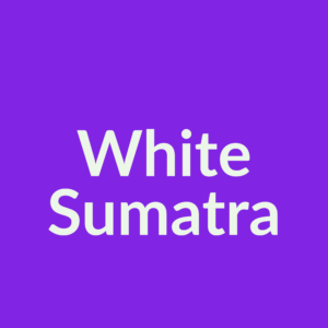 White Sumatra