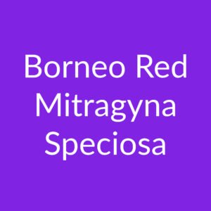 Borneo Red – Poeder – Mitragyna Speciosa
