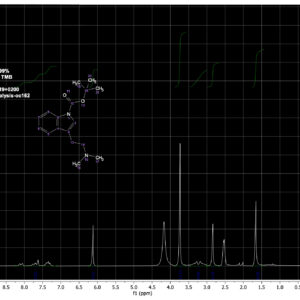 NB-DMT_1_Batch_07-24.jpg