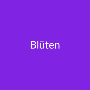CBD Blüten