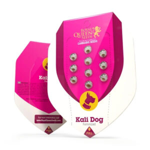 kali-dog.jpg