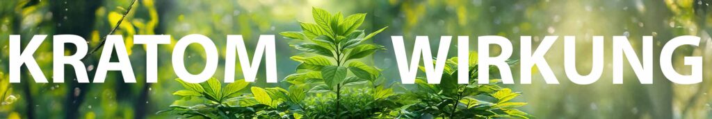 Kratom Wirkung und Sorten im Selbstexperiment