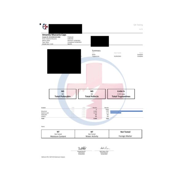 Design ohne Titel (3).jpg