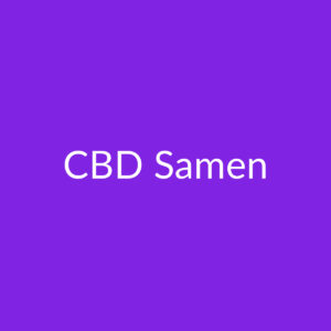CBD Samen