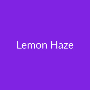Lemon Haze Samen