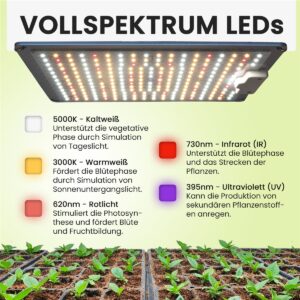 Growbox 02 Licht 2000x2000.jpg