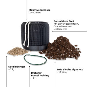 CannaBonsai Main Inhalt 2000x2000.jpg