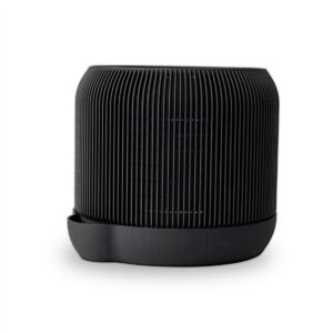 Canna Bonsai 01 2000x2000.jpg