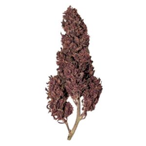purplematic-cbd.jpg