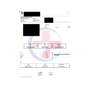 Design ohne Titel (3).jpg