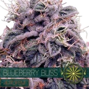 Design ohne Titel (66).jpg