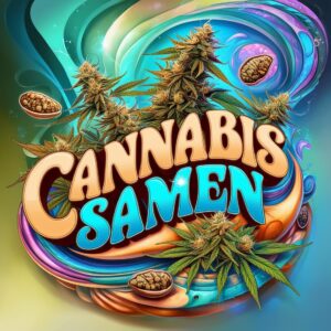 Cannabis Samen