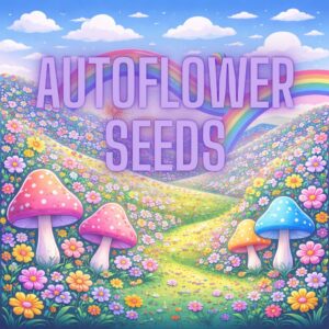 Autoflower Seeds