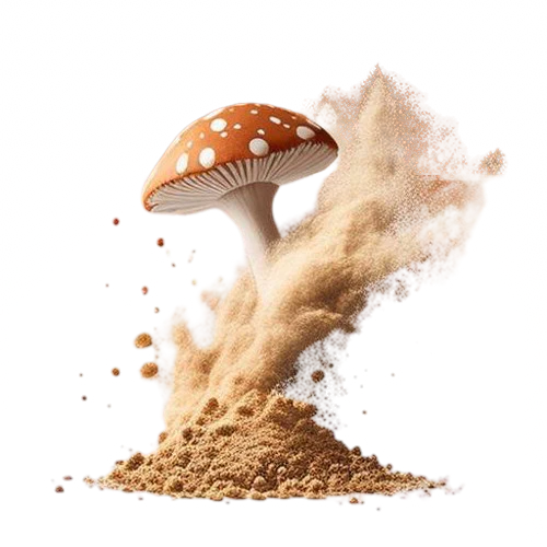 Fliegenpilz Pulver - 20g