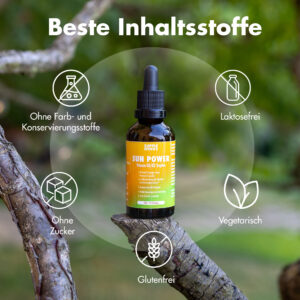 SunPower 06 2000x2000 jpg