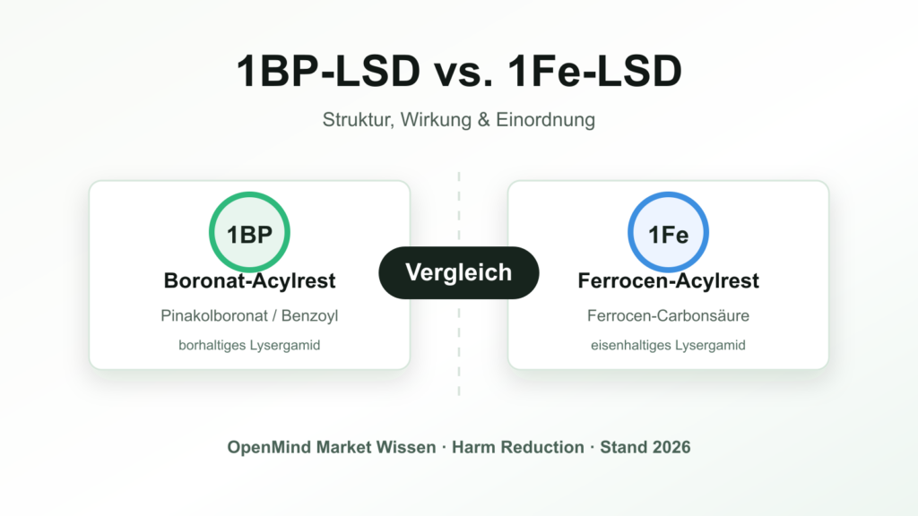 Beitragsbild zum Vergleich von 1BP-LSD mit Boronat-Acylrest und 1Fe-LSD mit Ferrocen-Acylrest