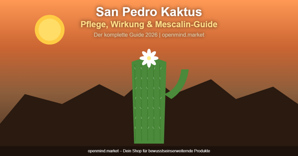 san pedro kaktus pflege banner