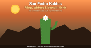 san pedro kaktus pflege banner