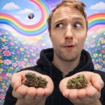 Weed