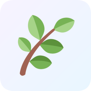 Kr&auml;uter / Herbs