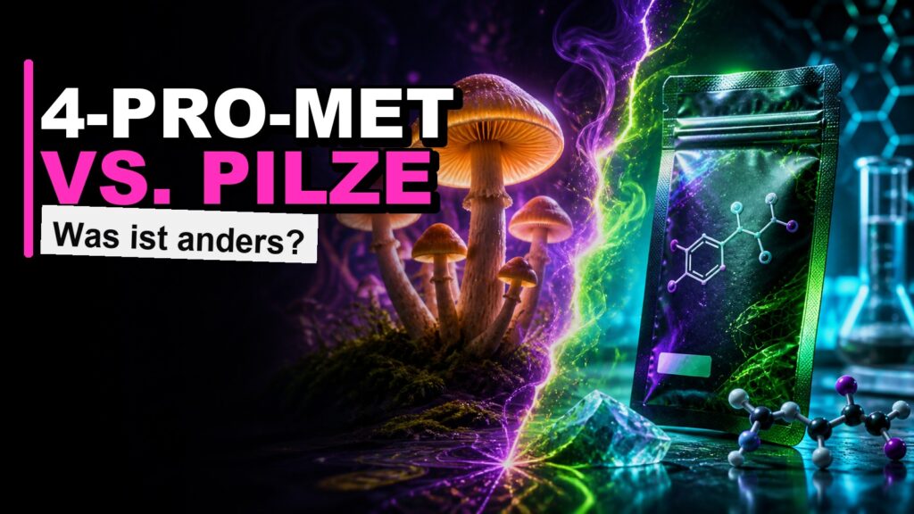 4-Pro-MET vs. Magic Mushrooms Thumbnail mit Pilzen, Research-Chemical-Packung und Neon-Vergleich