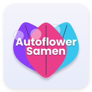 Autoflower Seeds