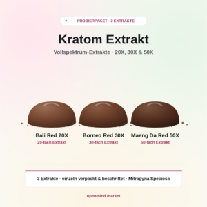 Bundle4_Bild2_Inhalt.png