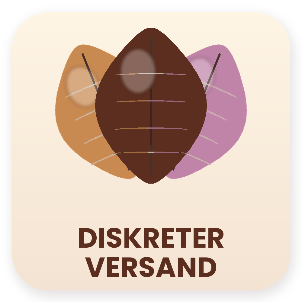 Diskreter Versand Icon