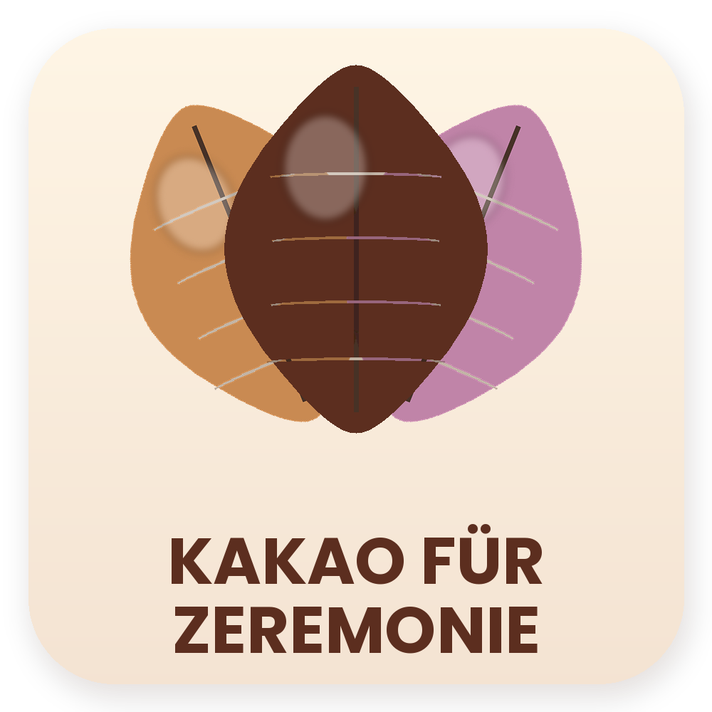 Kakao für Kakaozeremonie Icon