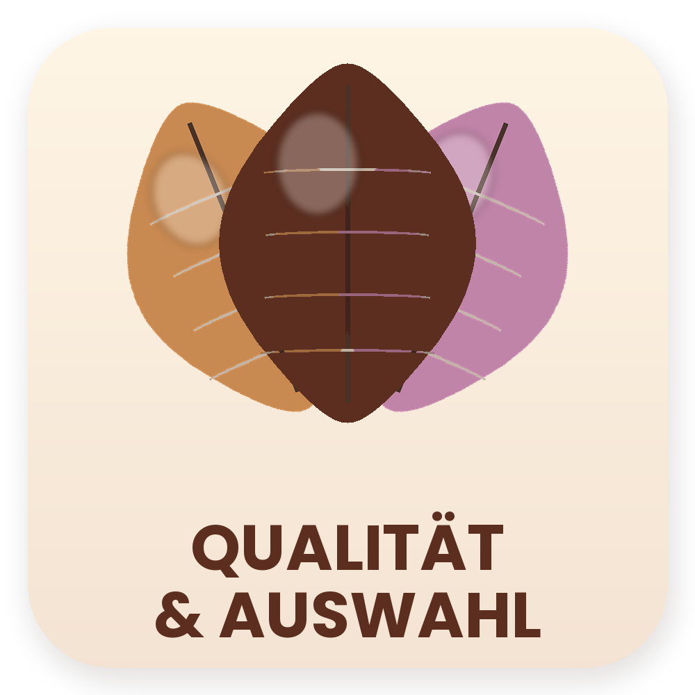 Qualität und Auswahl Icon