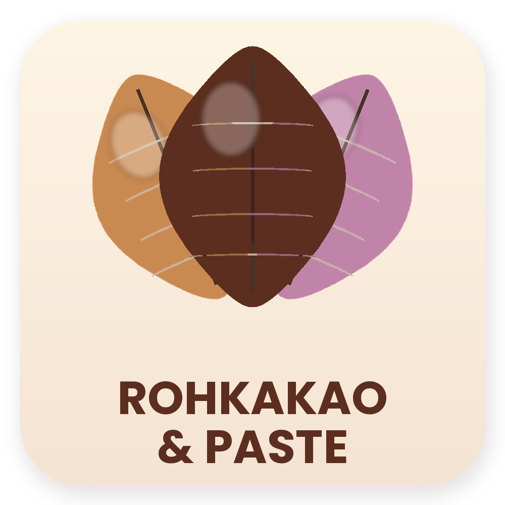 Rohkakao und Kakaopaste Icon