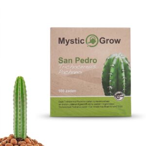 56945_San-PedroSamen-Trichocereus-Pachanoi.png