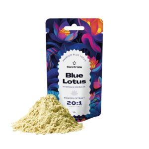 Blau Lotus.jpg