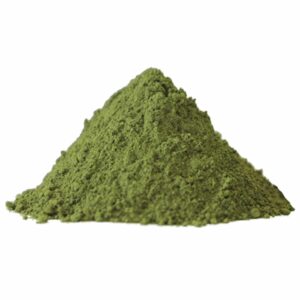 white-thai-kratom-mitragyna-speciosa-1.jpg