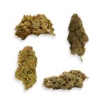 Mango-5g