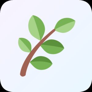 Kräuter / Herbs