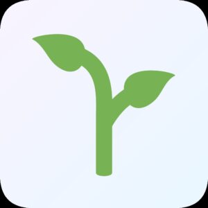 Cannabis Samen